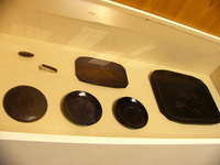 埋もれ木展示2.jpg