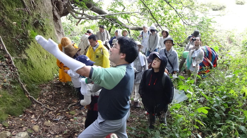 亜炭層観察.JPG