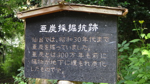 241.JPG