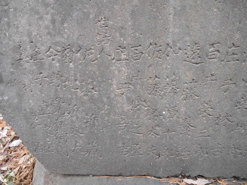 DSCN1179.JPG