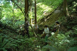 DSC_0012.JPG