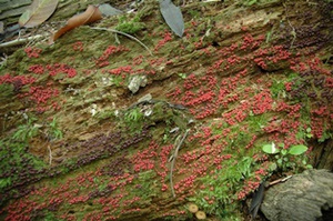 DSC_0022.JPG
