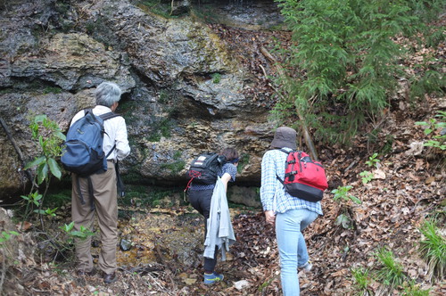 DSCF2271.JPG