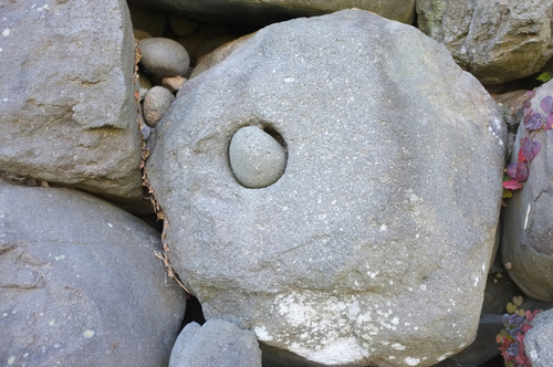 DSCF5369.JPG
