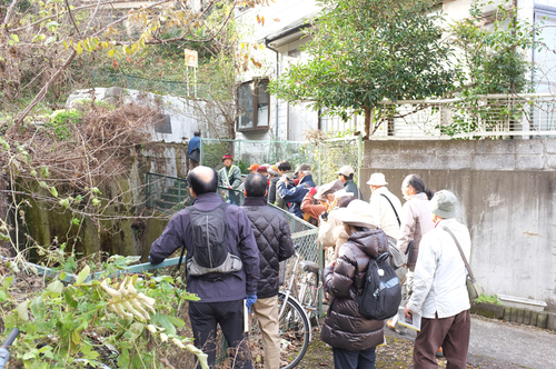 DSCF6008.JPG