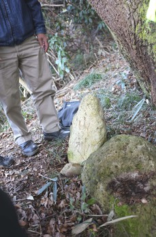 DSCF6060_1.jpg